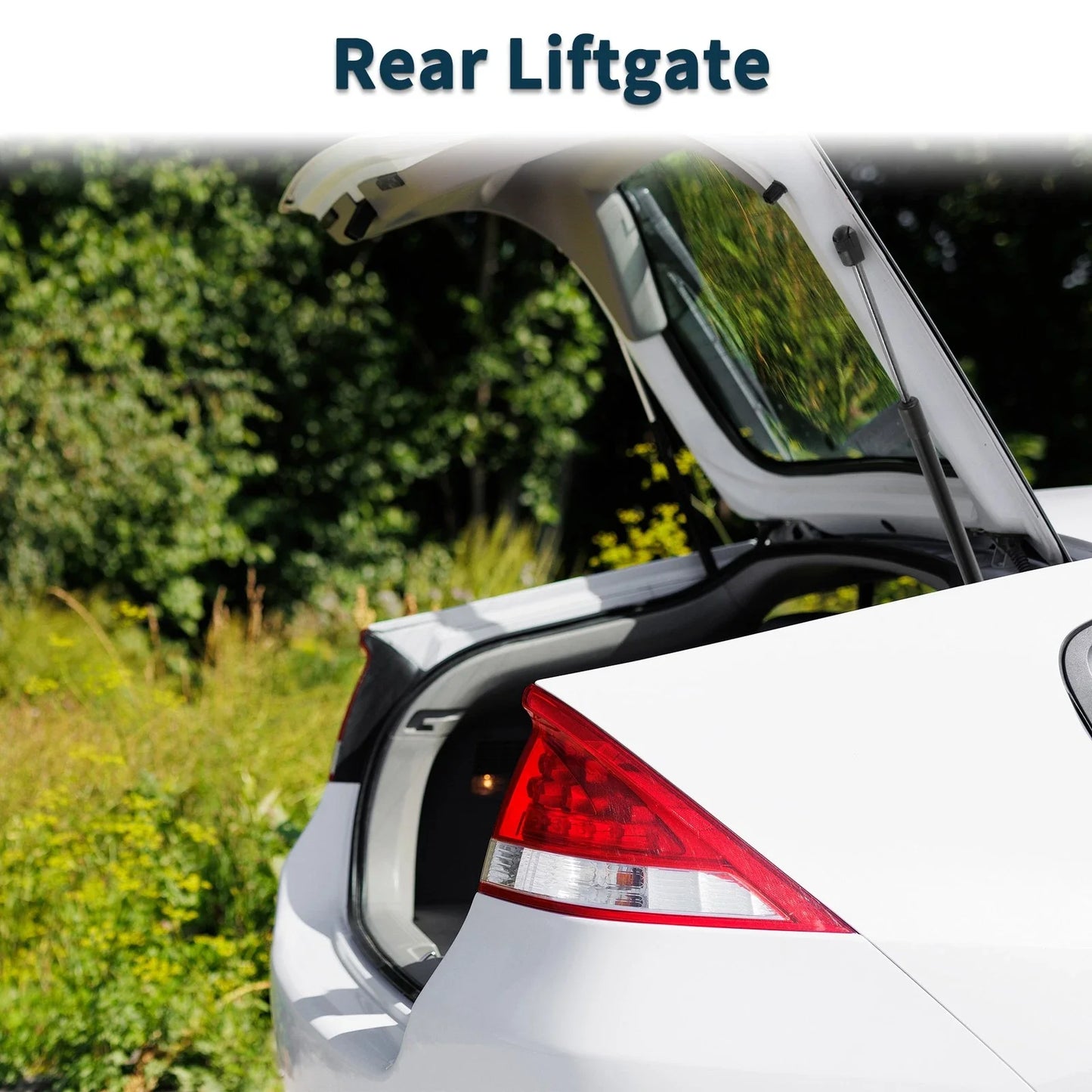 Tailgate Lift Supports Struts for BMW 5 Series E61 (2004-2010)