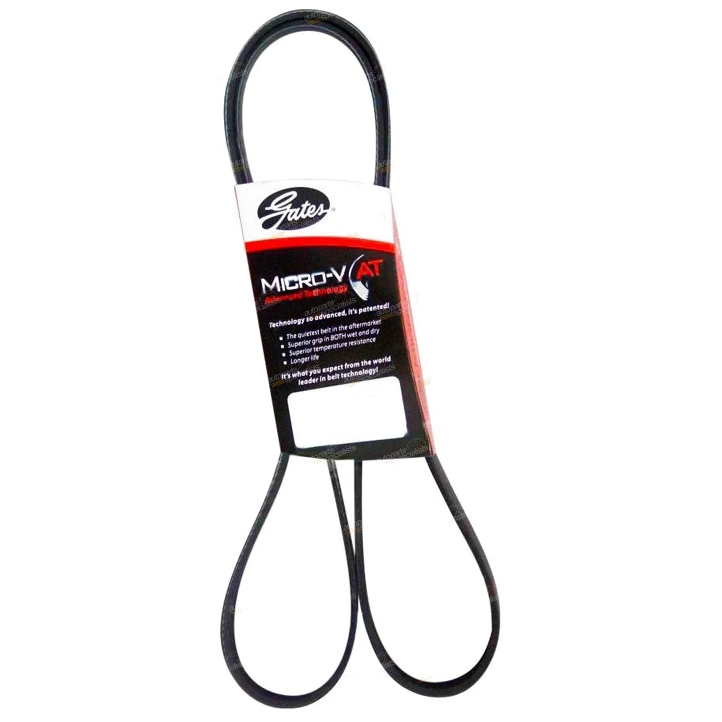 Multi Accessory Engine Fan Drive Belt for Holden VS Commodore (1995–1997)