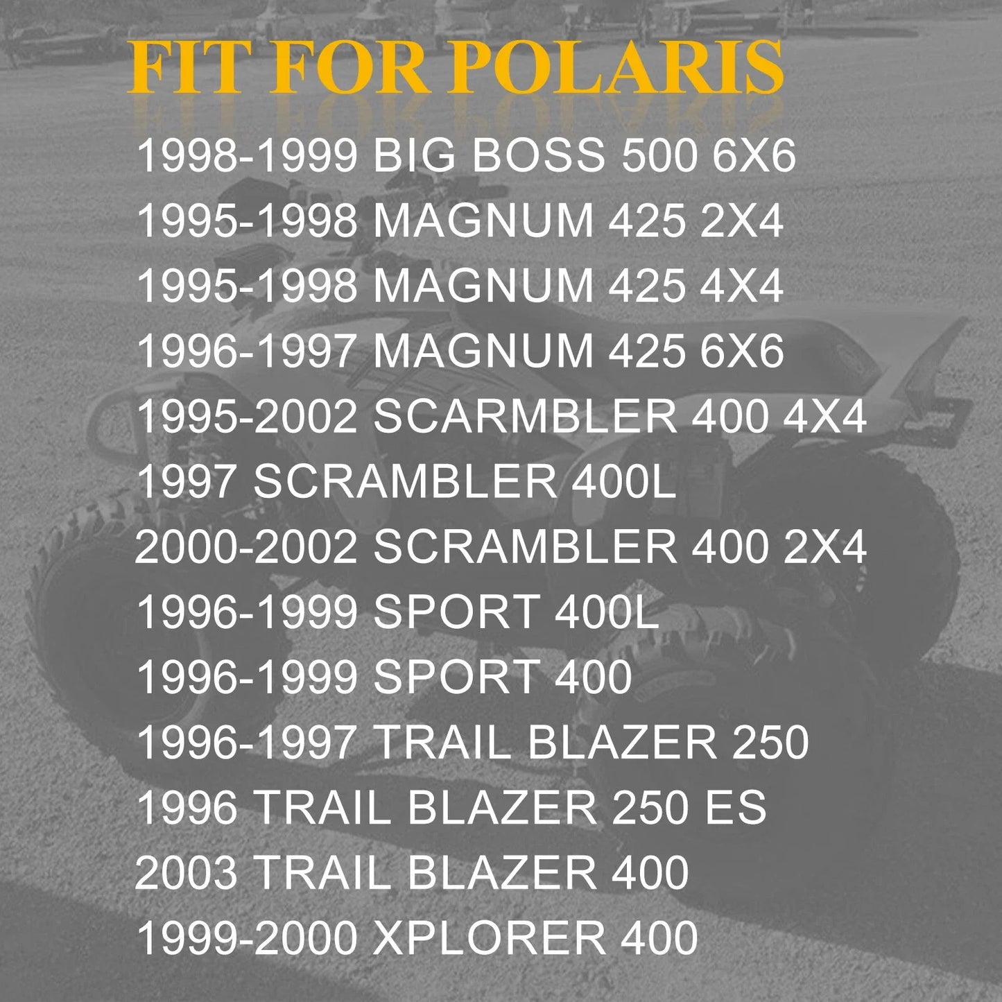 Air Filter + Air Box Filter Stand 2x4/4x4 for Polaris Scrambler (1995–2002)