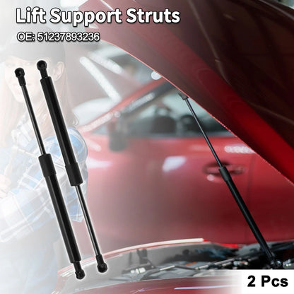 Front Hood Lift Supports Struts for BMW E46 M3 Convertible/Coupe (2000-2006)