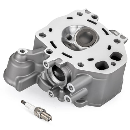 2 x Cylinder Head Assy for Honda TRX420 TRX500 SXS500M