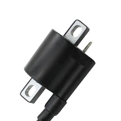 2 x Ignition Coils Left & Right / 12103CM / ABS Plastic for ATVs Scooters