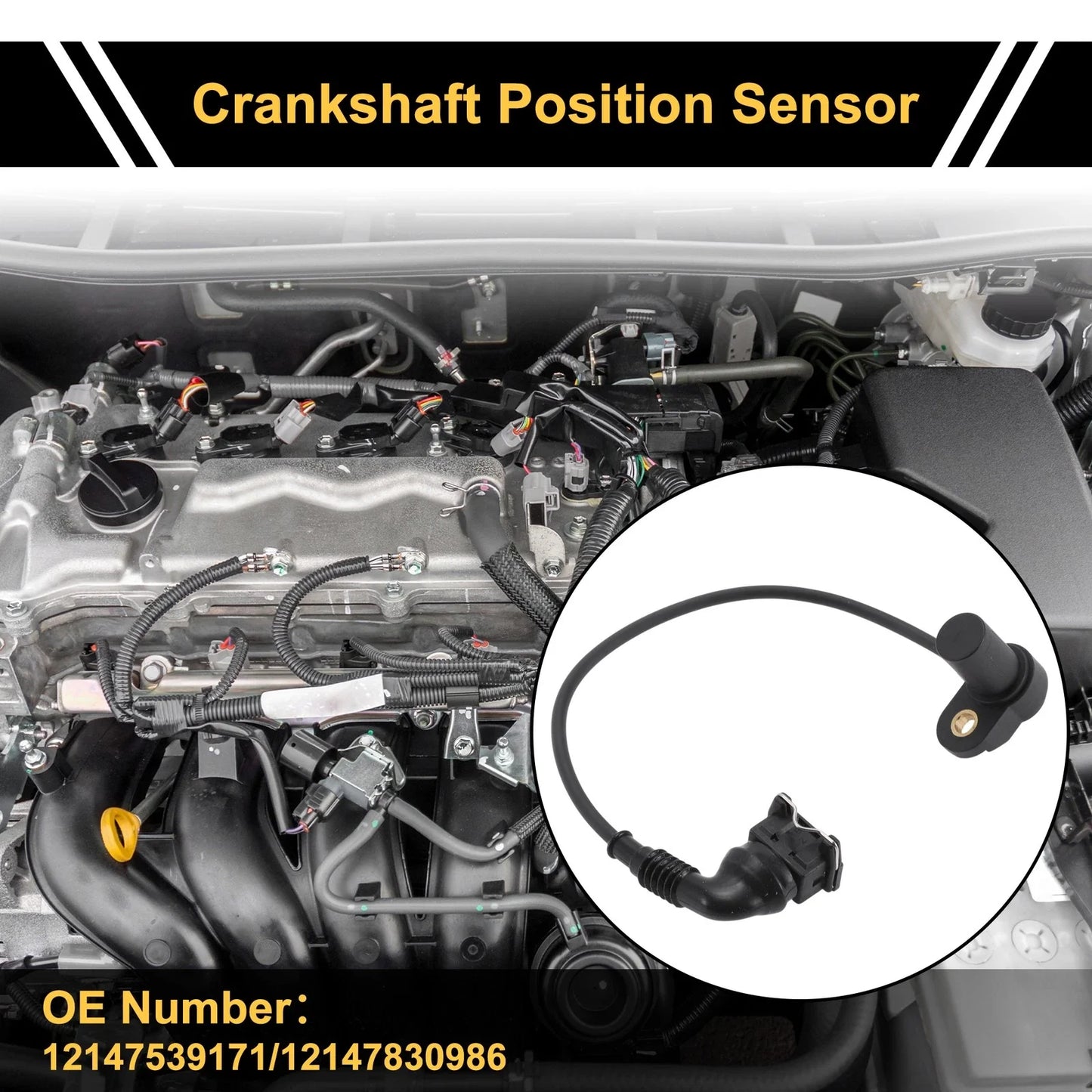 1 Pc Crankshaft Position Sensor for BMW M3 Coupe (2000-2006)