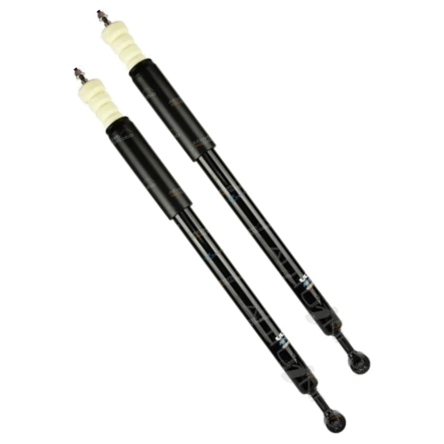 Rear Shock Absorbers for Ford Focus LS LT Hatchback (2006 - 2008)