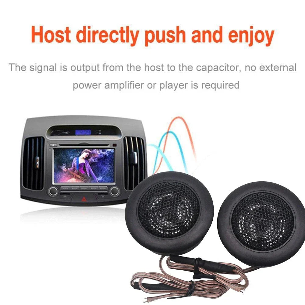2 x 120W High Power Car Speakers