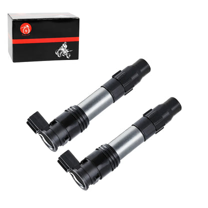 Ignition Coil Set for Kawasaki Ninja EX300 (2013–2017)