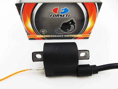 Ignition Coil Spark Plug Cap Assembly for JIANSHE G80T