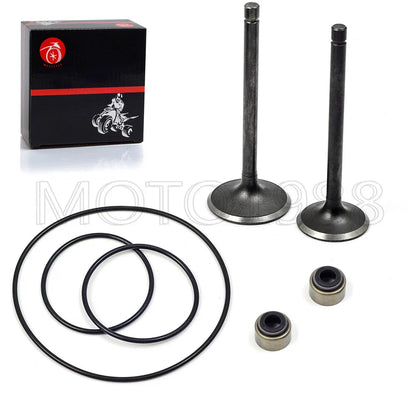 Intake Valve for Yamaha Big Bear/Wolverine/Bruin/Grizzly 350 (1987–2002)