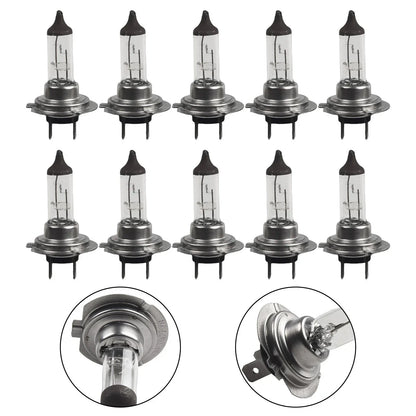 H7 Bulbs 10pcs 12V 55W Halogen Car Headlights Easy to Use