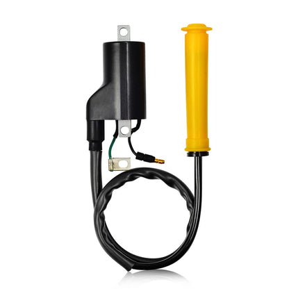 Ignition Coil & Spark Plug for Honda Sportrax 400 TRX400EX XR400R (1999–2004)