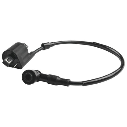 2 x Ignition Coils Left & Right / 12103CM / ABS Plastic for ATVs Scooters