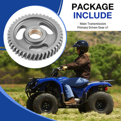 Transmission Primary Driven Gear for Yamaha Breeze Grizzly 125 (2000–2009)