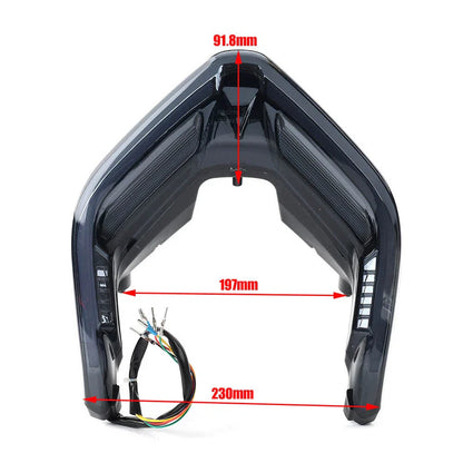 LED Tail Light Turn Signal for Ducati Streetfighter Panigale V4 V4S V2 (2018-2022)