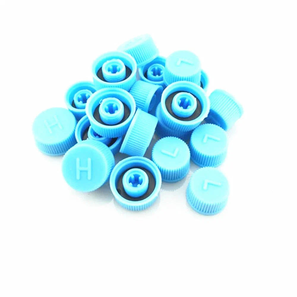 30Pcs A/C Port Cap Dust Covers for Auto Air Conditioning (Universal)