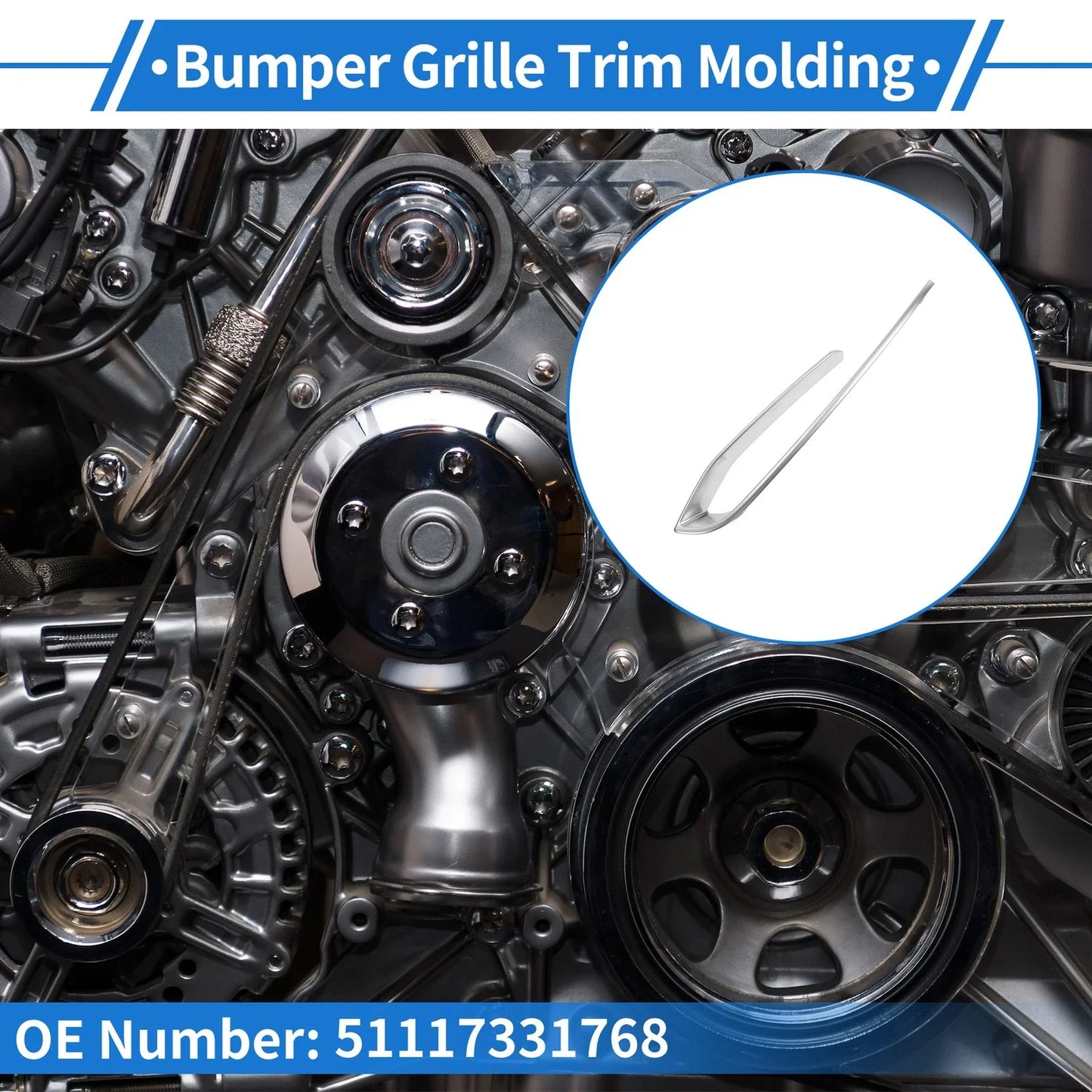 Grille Trim Garnish for BMW 5 Series (2014 - 2017)