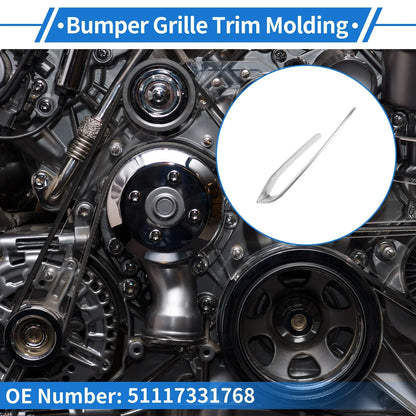 Grille Trim Garnish for BMW 5 Series (2014 - 2017)