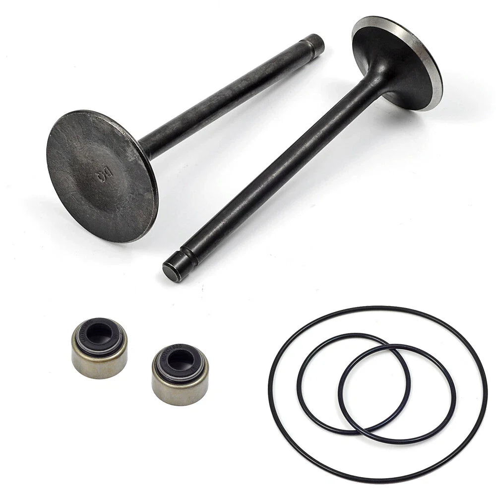 Intake Exhaust Valve for YAMAHA Big Bear Bruin Wolverine Grizzly (1990–2006)