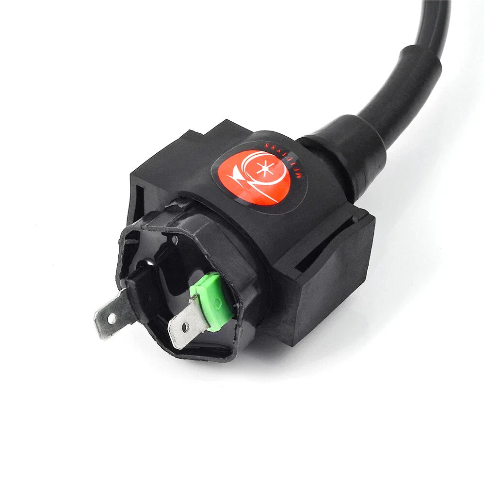 Ignition Coil And CDI Module for Honda TRX400FW Foreman (1995–2003)