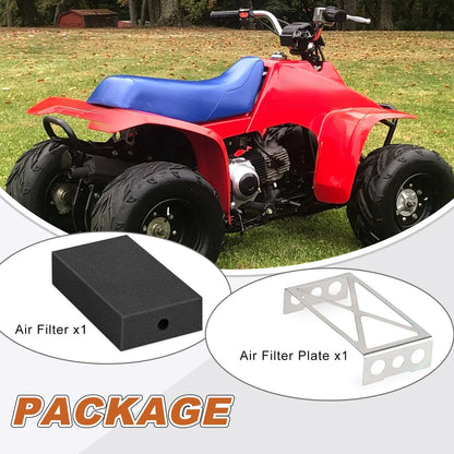 Air Filter Cleaner Element W/ Mount Plate for Honda FourTrax 70 (1991–1994)