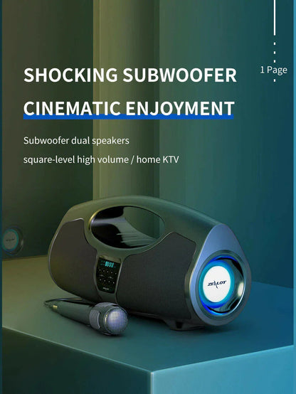 Bluetooth Portable Rechargeable Speaker with Microphone for Karaoke