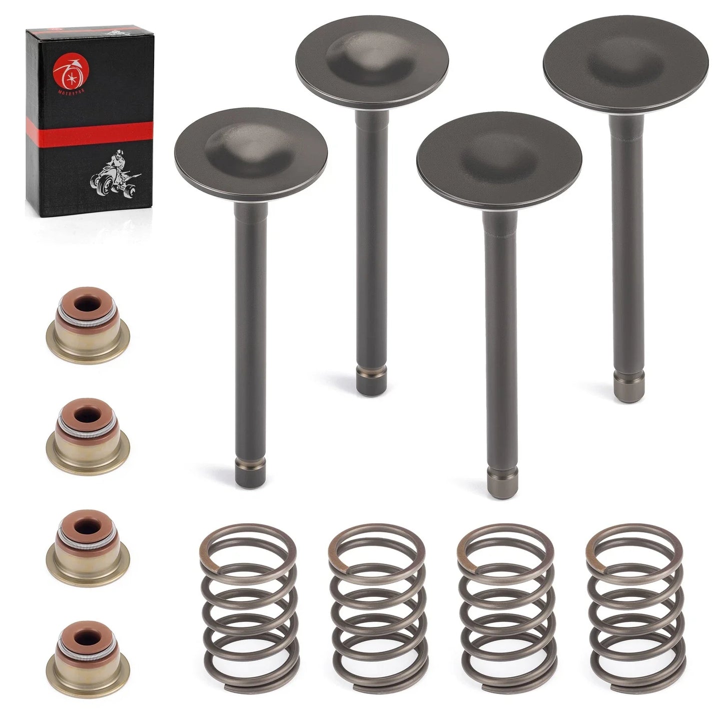 Intake & Exhaust Valve Set with Seals for EZGO Gas 4 Stroke 295cc 350cc (1996–2026)