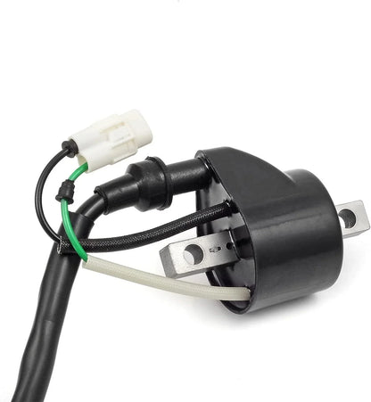 Ignition Coil Spark Plug & Cap for Arctic Cat Prowler 650 XT (2006–2011)
