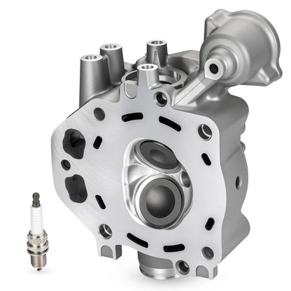 2 x Cylinder Head Assy for Honda TRX420 TRX500 SXS500M