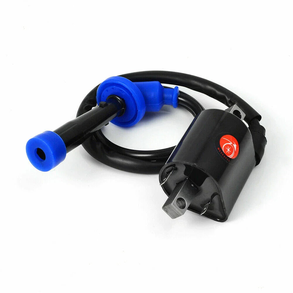 Ignition Coil And Spark Plug for Yamaha V Star 650 XVS650 (1998–2016)