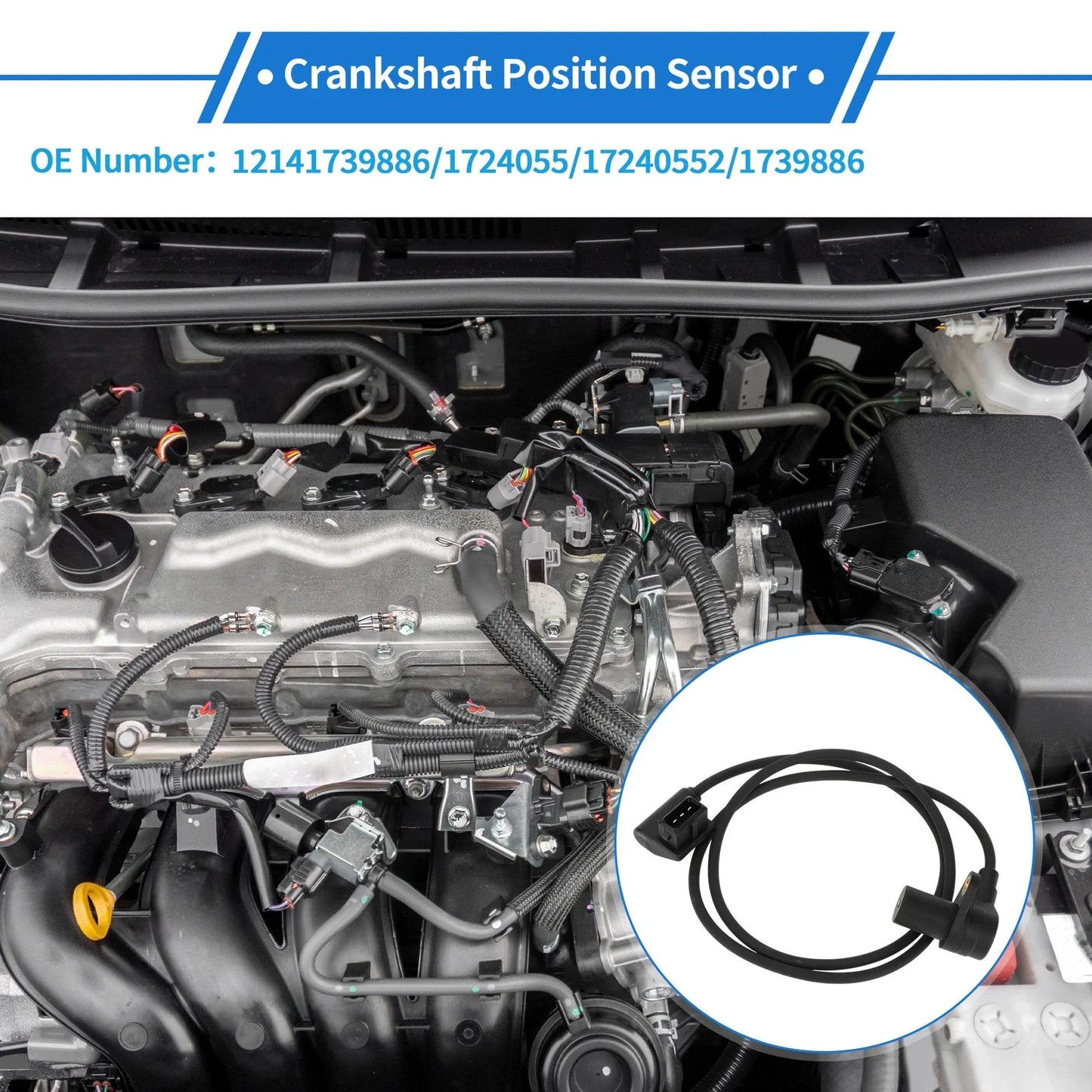 Crankshaft Position Sensor 1 Pc for BMW E36 318i (1993-1998)