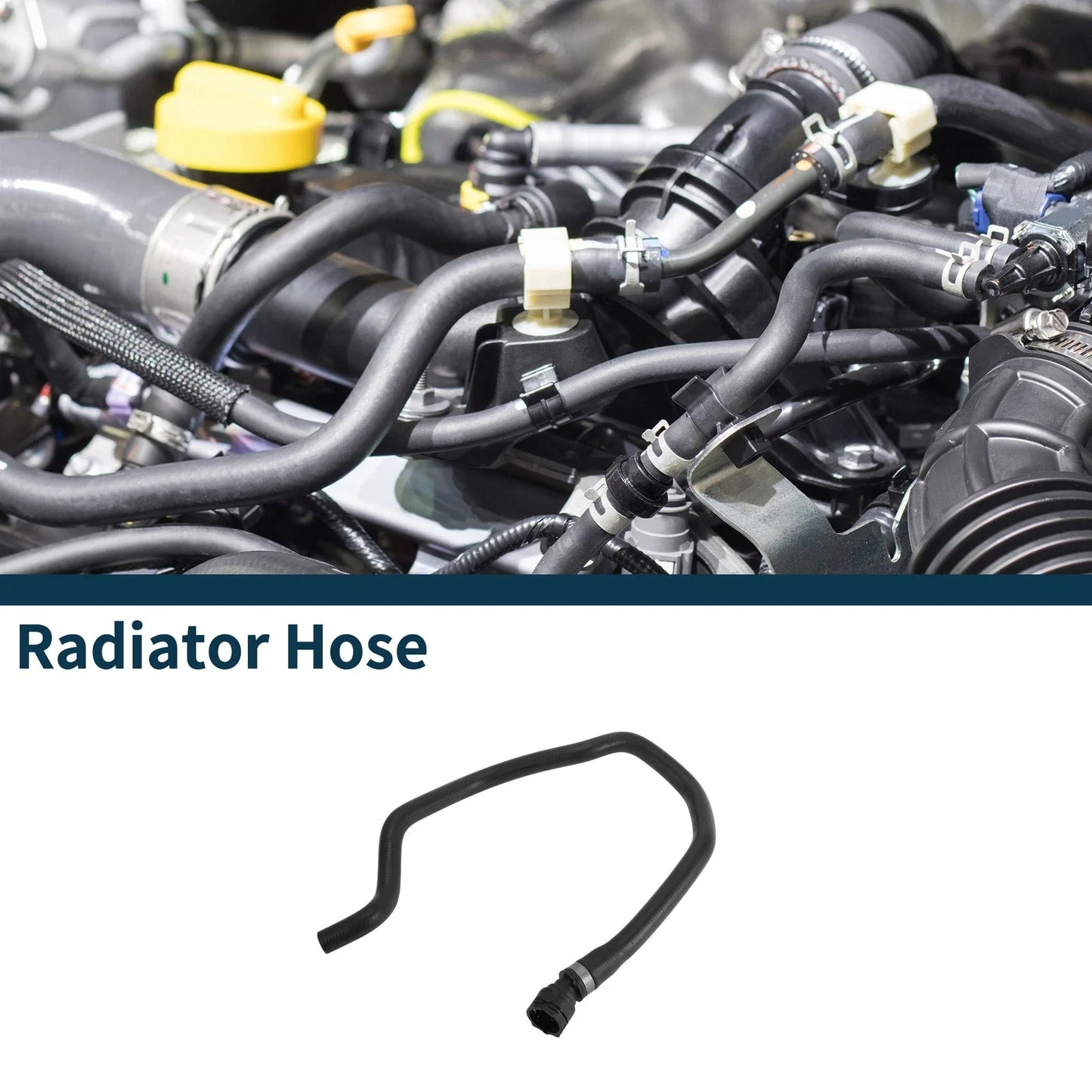 Radiator Hose for BMW 3 Series Cooling Tube (2005-2006)