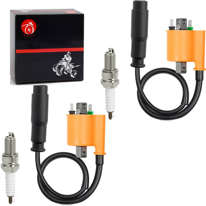 2 x Ignition Coil Spark Plug for Kawasaki Teryx 750 800 (2009-2022)