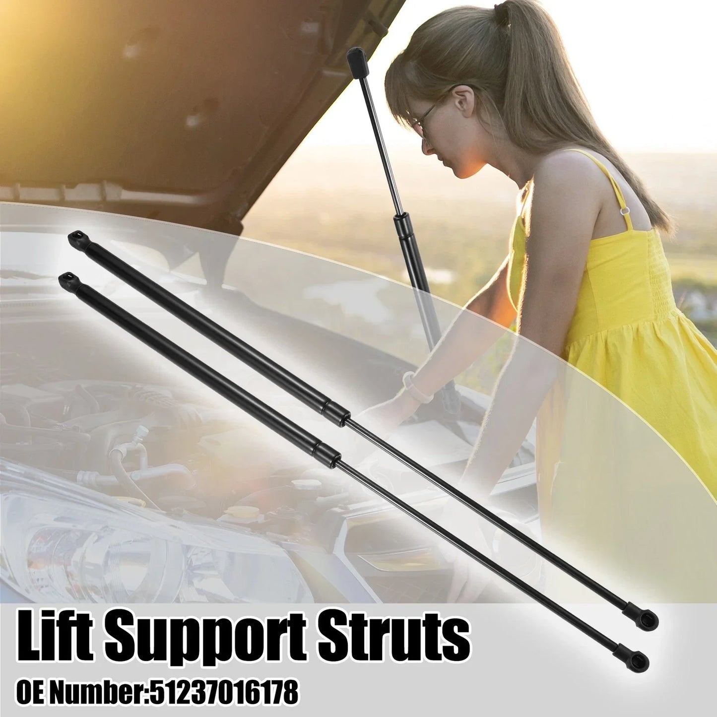 Front Hood Lift Support Gas Struts for BMW E85 Z4 (2003-2008)
