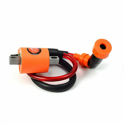 Ignition Coil & CDI for Yamaha Timberwolf YFB250, BearTracker YFM250 (1994-2000)
