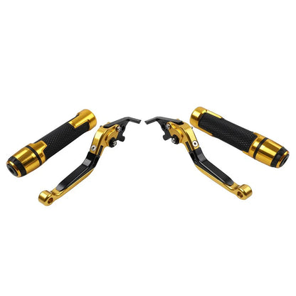 Folding Extendable Brake Clutch Levers for Ducati Monster 659 (2005-2015)