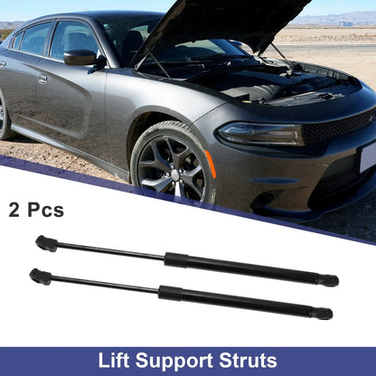 Tailgate Lift Support Struts Gas Spring for BMW X5 SUV (2007-2013)