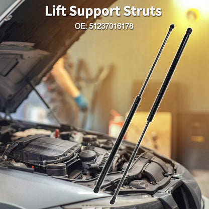 Front Hood Lift Supports Struts for BMW Z4 Convertible/Coupe