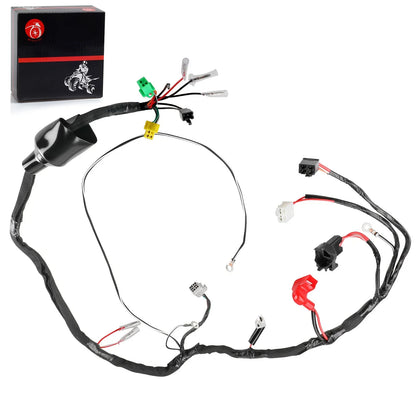2x Wiring Harness 2x4 for Suzuki QuadSport LT80 (1989–1998)
