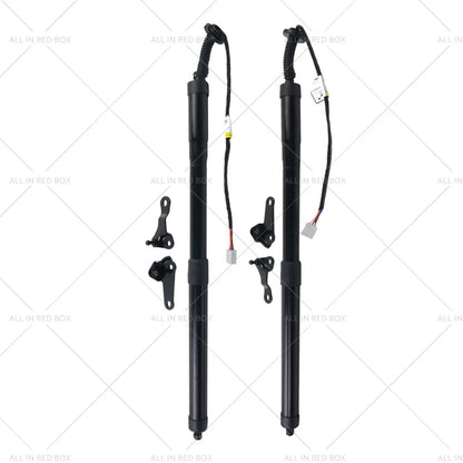 Rear Tailgate Struts for Lexus NX200t NX300h 2.0L 2.5L (2015-2020)