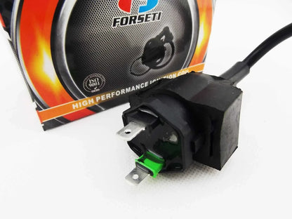 Ignition Coil Spark Plug Cap Assembly for Honda CB250 Nighthawk (1991-2008)