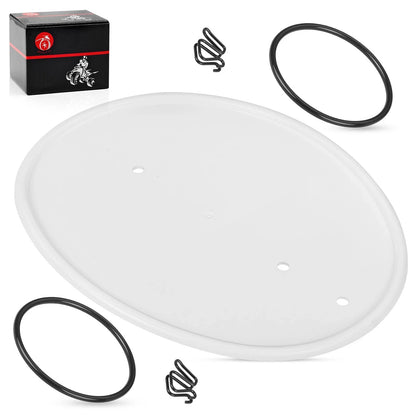 White Front Number Plate w/ Clips Bands for Honda Z50R (1979–1987)