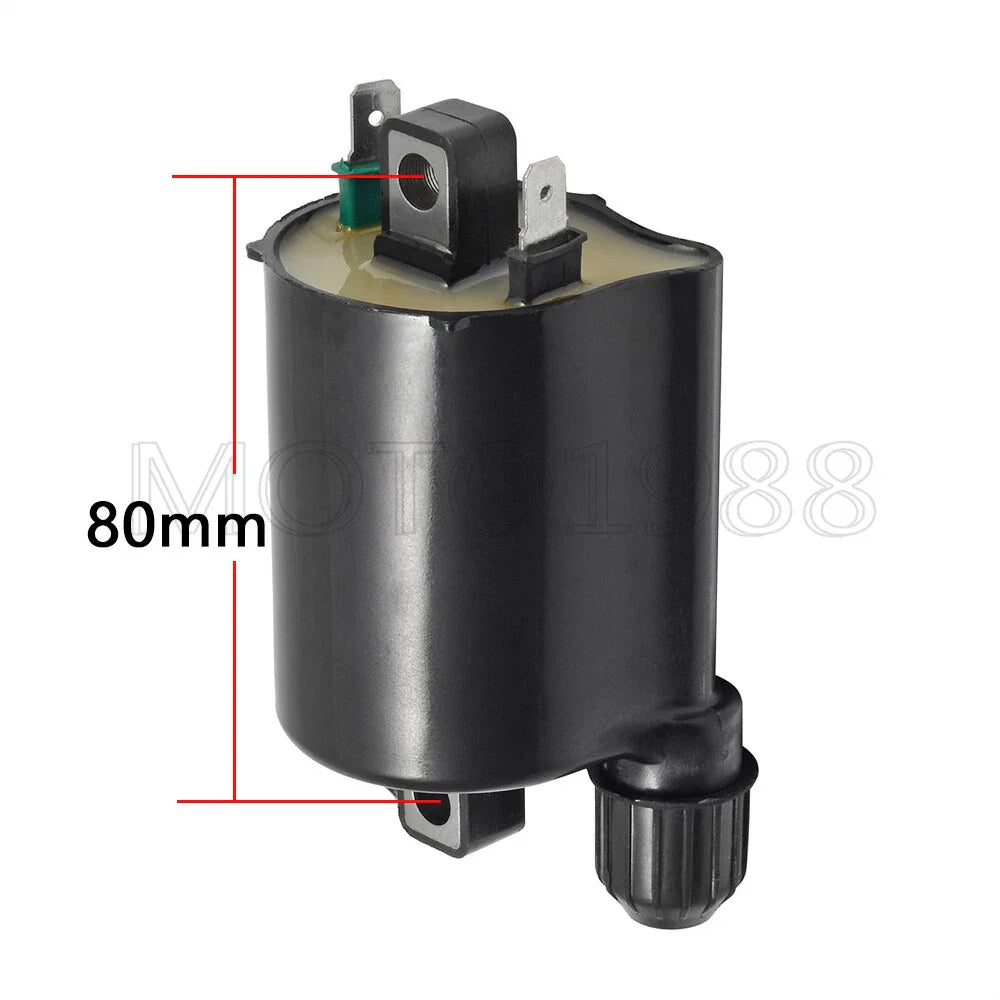 2 x Ignition Coil & Spark Plug Cap for Honda VT600C Shadow VLX (1998–2007)