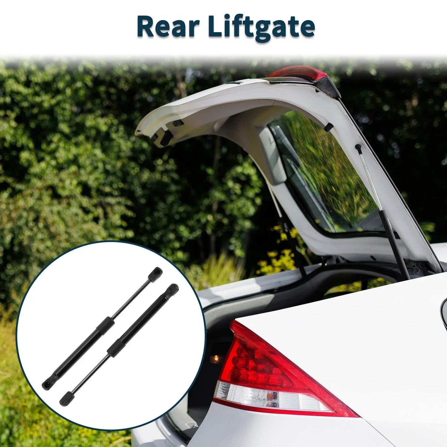 Rear Hatch Lift Supports for Dodge Challenger Coupe Without Spoiler (2008-2021)