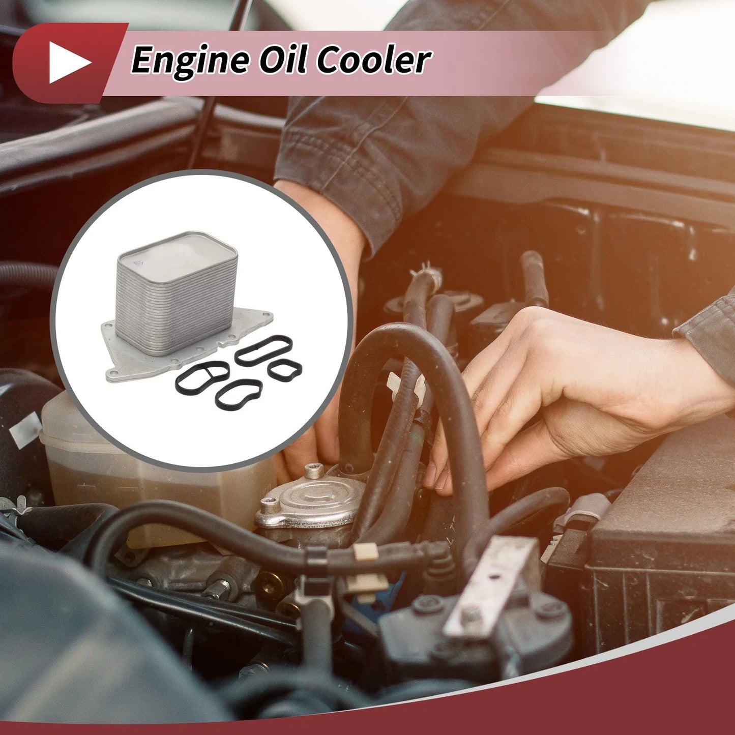 Engine Oil Cooler, Trans Cooler for BMW X1 (2014-2022)