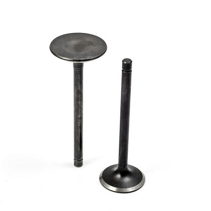 Intake Valve for Yamaha Big Bear/Wolverine/Bruin/Grizzly 350 (1987–2002)