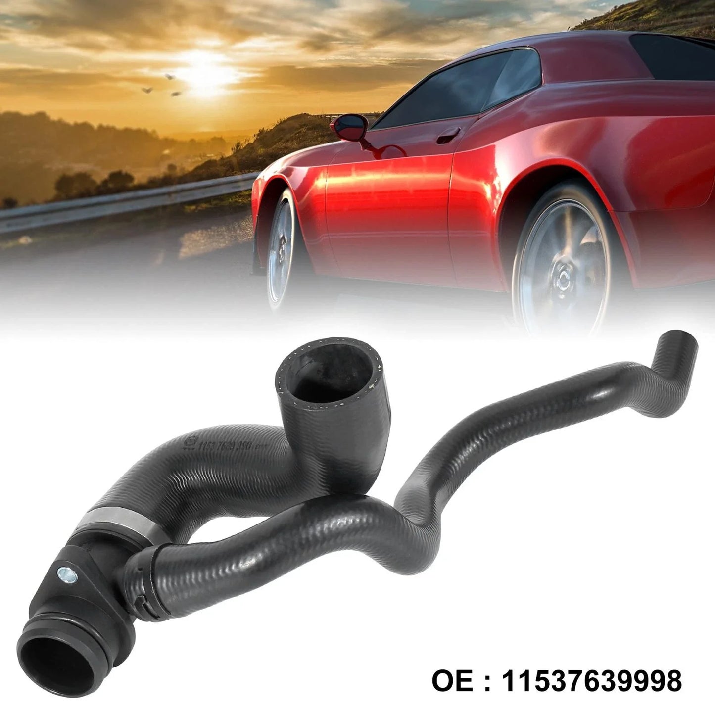 Radiator Water Hose from Expansion Tank for BMW