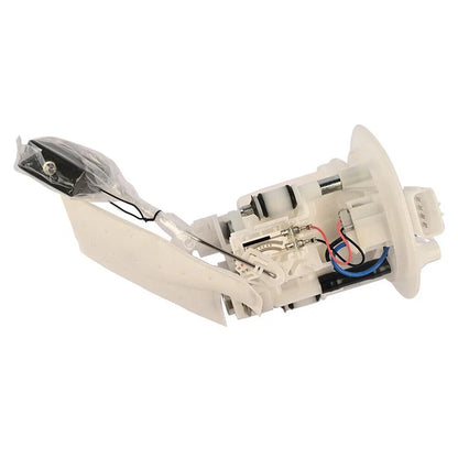 Fuel Pump Assembly for Kodiak 450 (2018–2023)