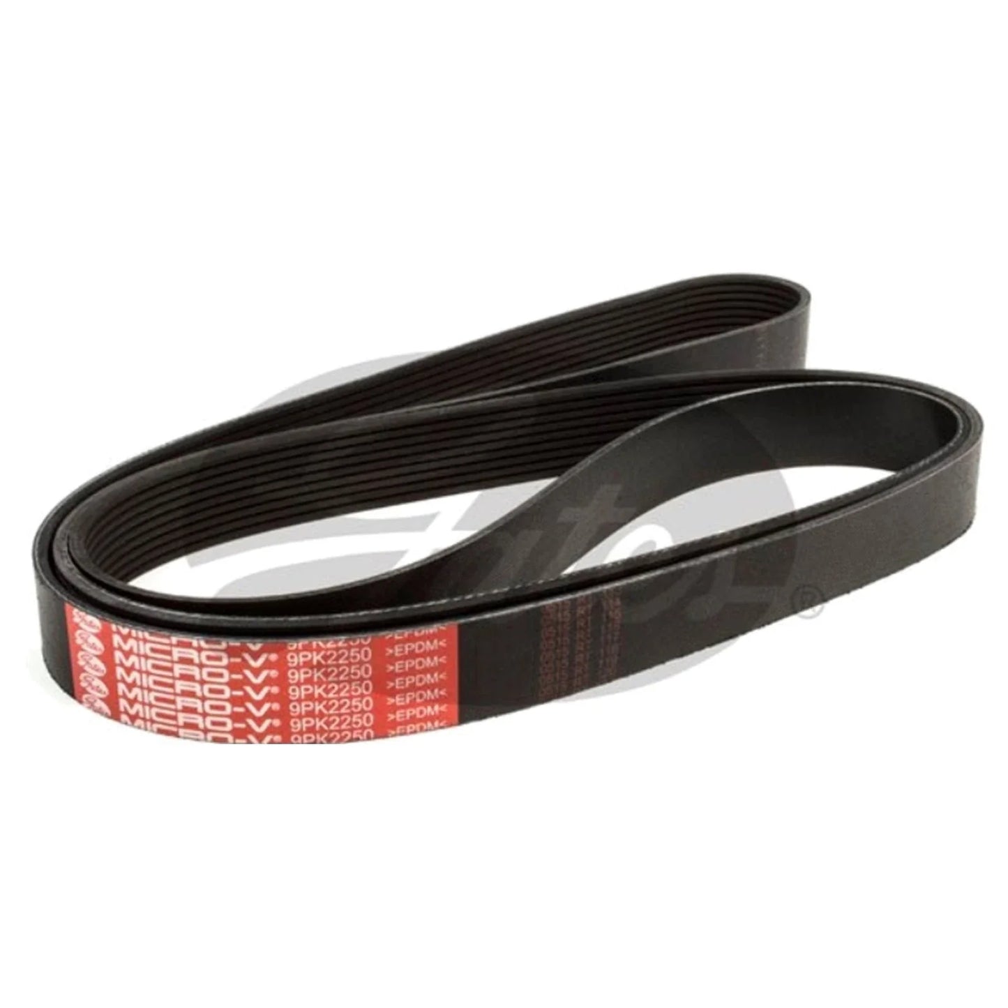 Drive Belt Landcruiser VDJ200 VDJ76 VDJ78 VDJ79 V8 4.5L 1VD-FTV (2007–2021)
