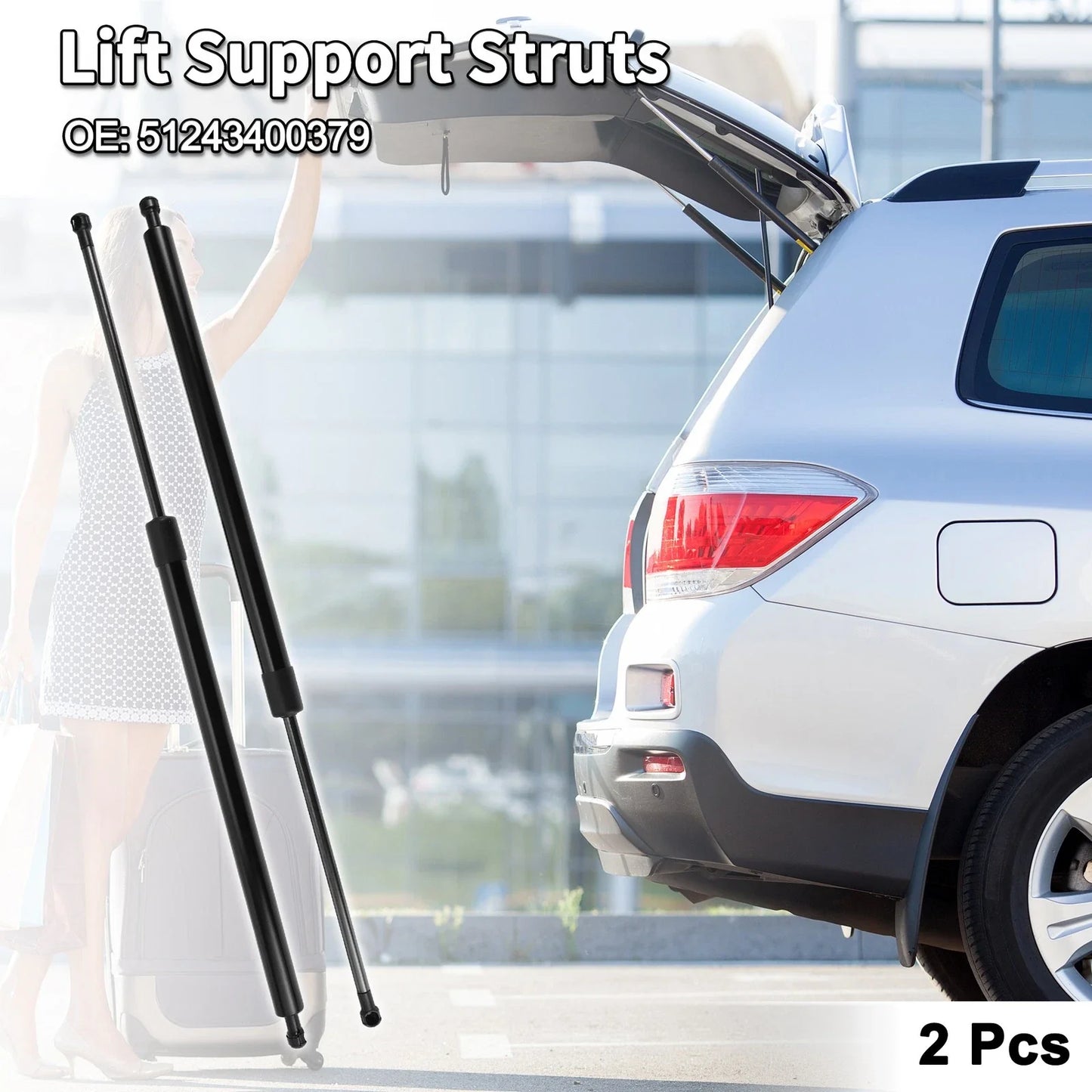 Rear Hatch Lift Supports Struts for BMW E83 X3 SUV (2004-2010)