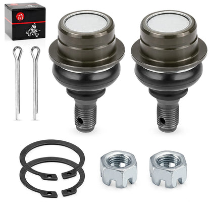 2 x Front Upper A-Arm Ball Joint for Suzuki Ozark 250 LTF250 (1999–2002)
