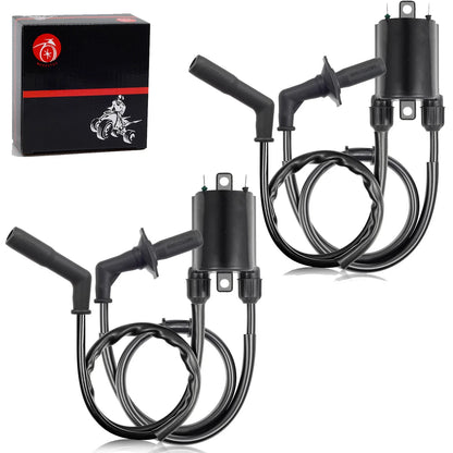 2 x Ignition Coil & Spark Plug Cap for Shadow Sabre 1100 VT1100 (2000–2007)